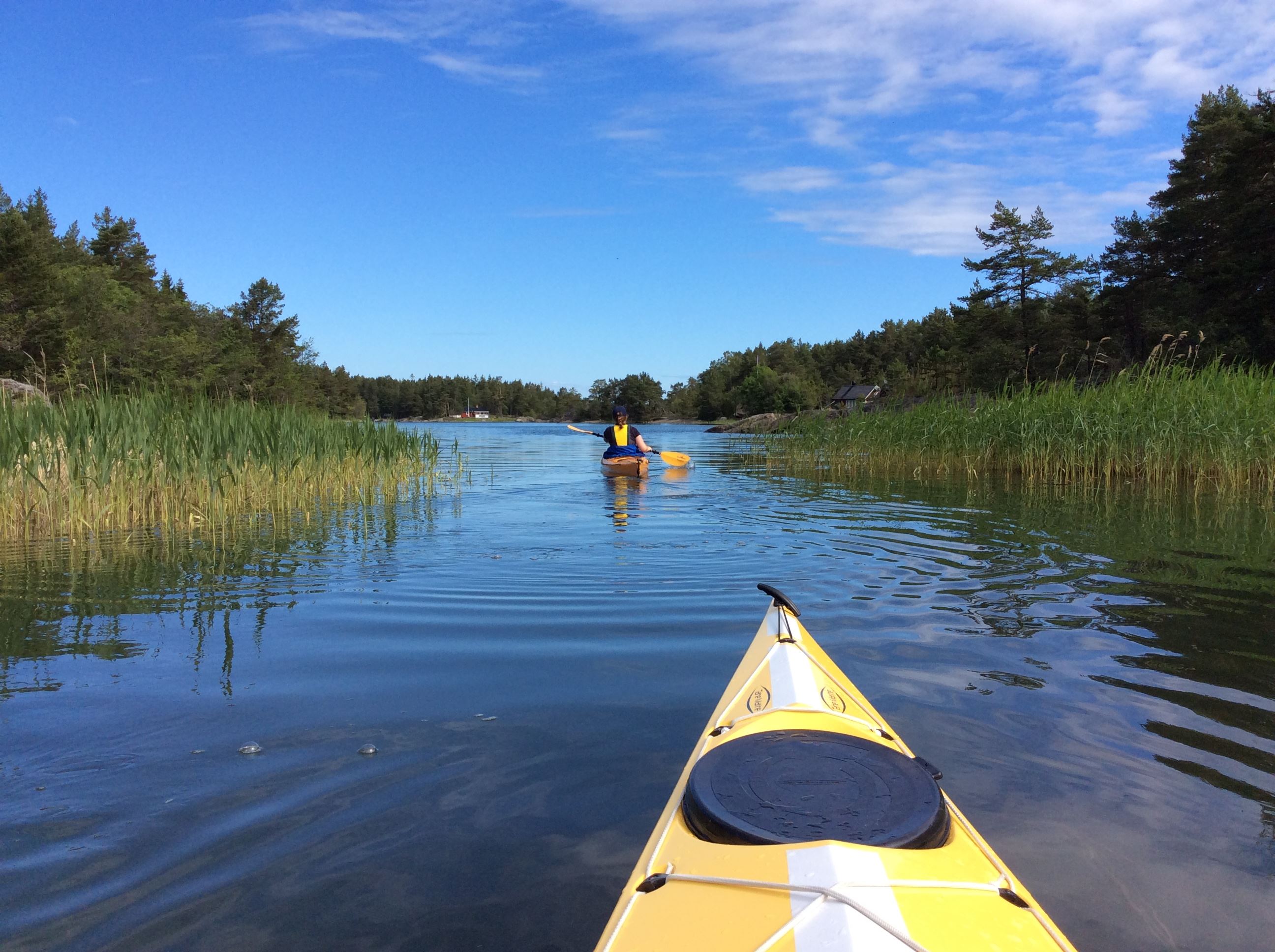 Paddling i Gräsö skärgård