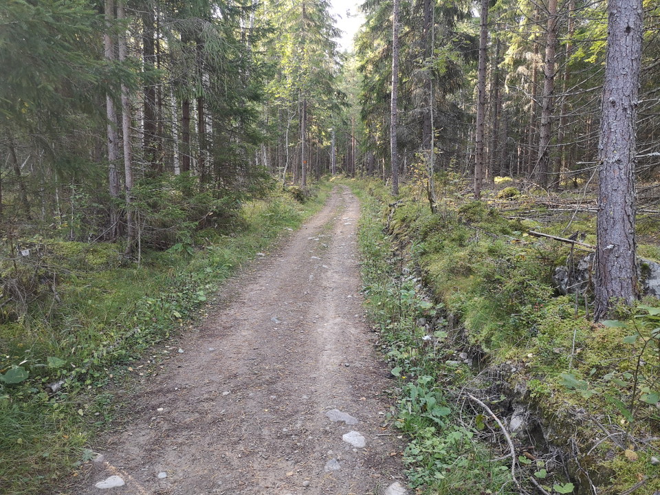 Längs med leden