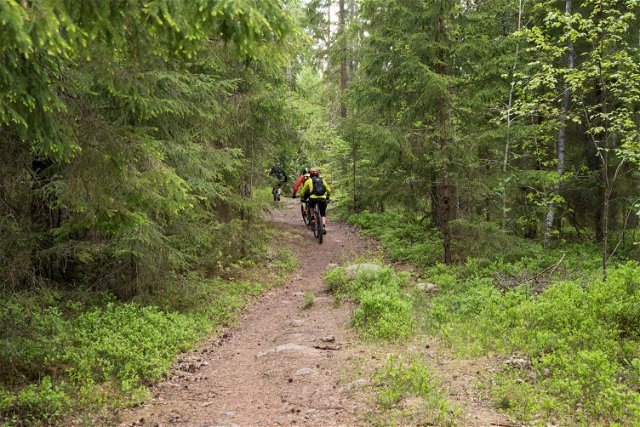 Ekeberg Mountain bike track: Sura endurogubbar