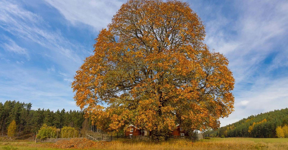Björnön dubbelgård från 1700-talet. Byggnadsminne sedan 1977.
Etapp: Sjöbo-Malexander.
Boxholm