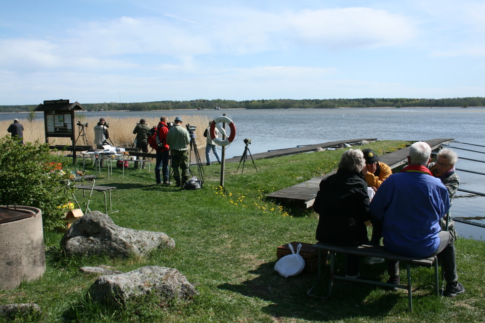 Vid en liten båtbrygga finns en grillplats och en sittplats där fyra vuxna sitter. En bit bort står flera fågelskådare och tittar ut över havet och i vassen vid strandkanten.