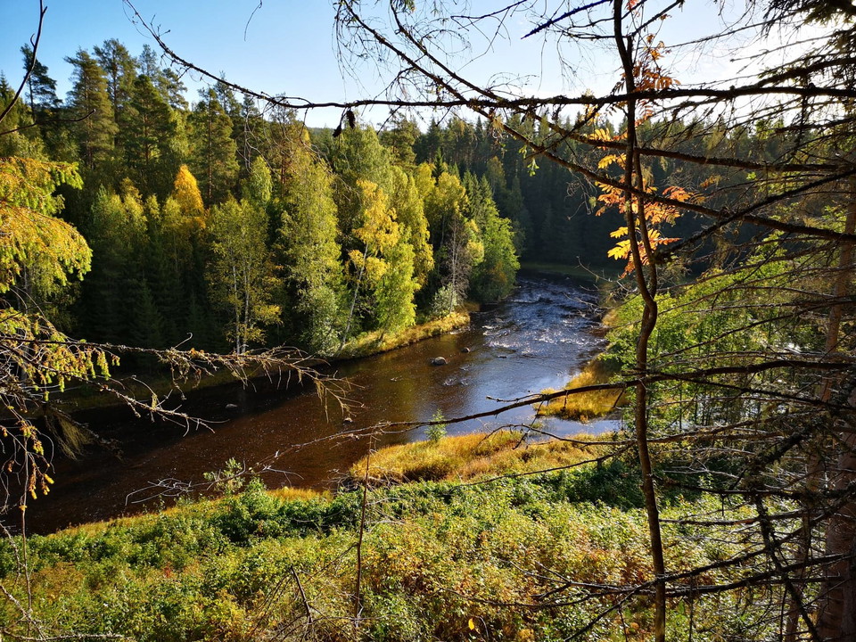 Utsikt över Svågan