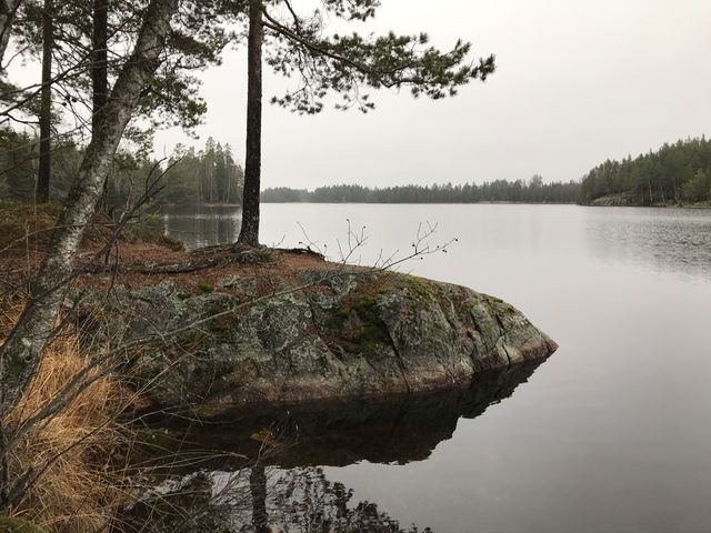 Örkaggen