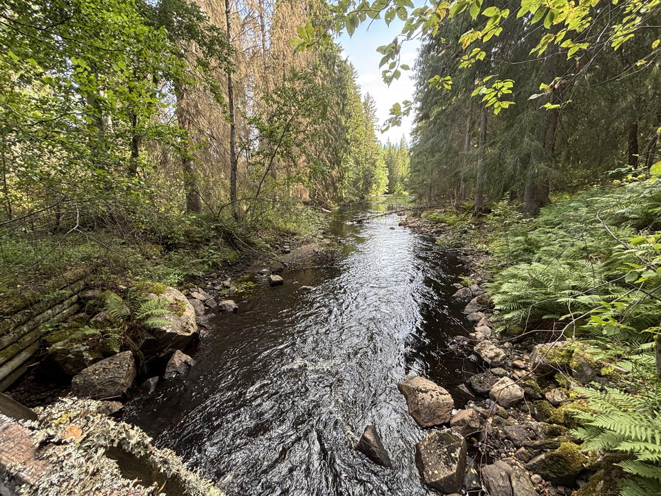 Lumsån/Hedströmmen