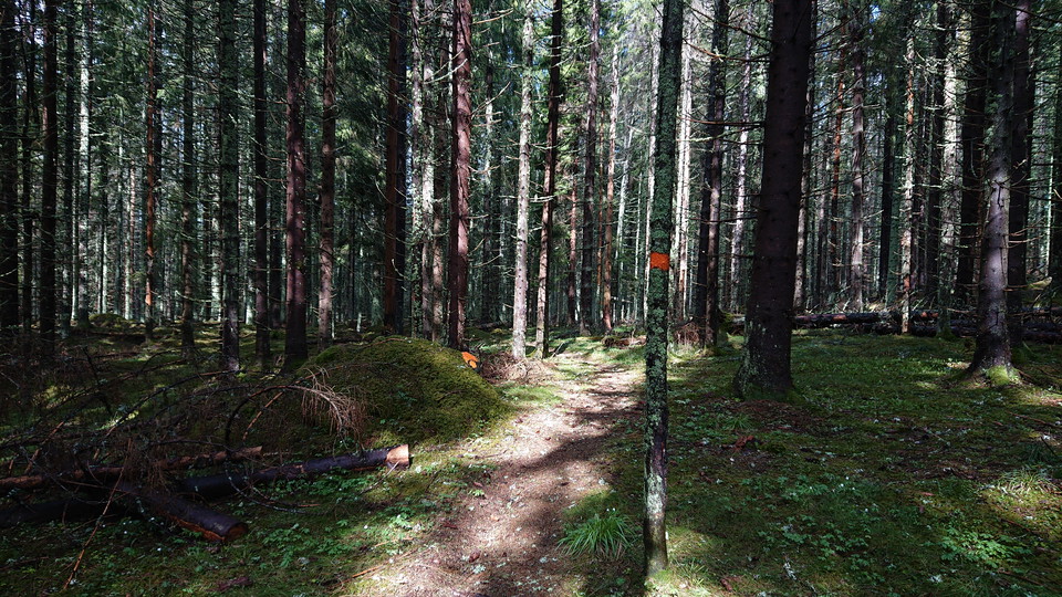 Stig i anslutning till Lindbacken