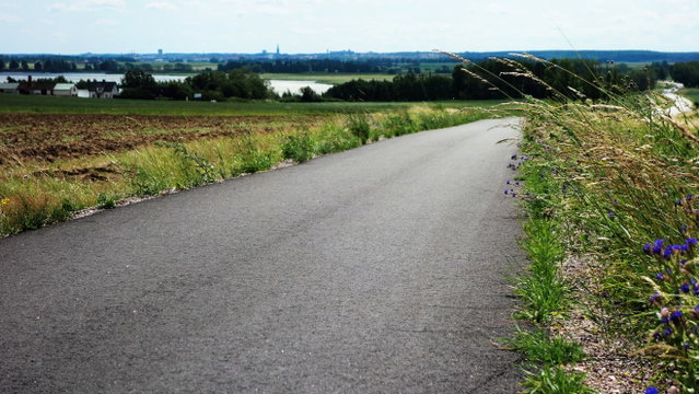 Berg - Trädgårdsföreningen, Östgötaleden