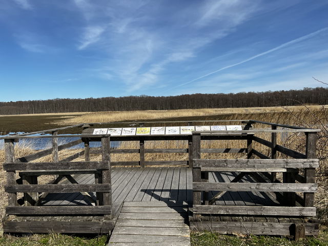 Skådarplattform Piren, Beijershamn