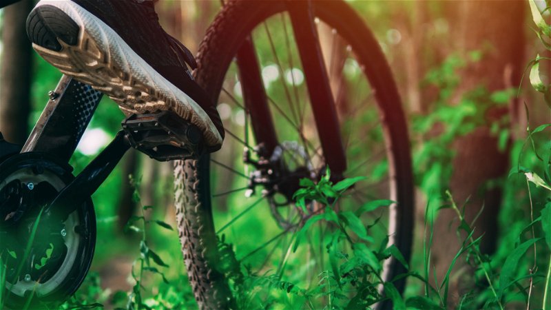 Närbild på en cykel i skogen
