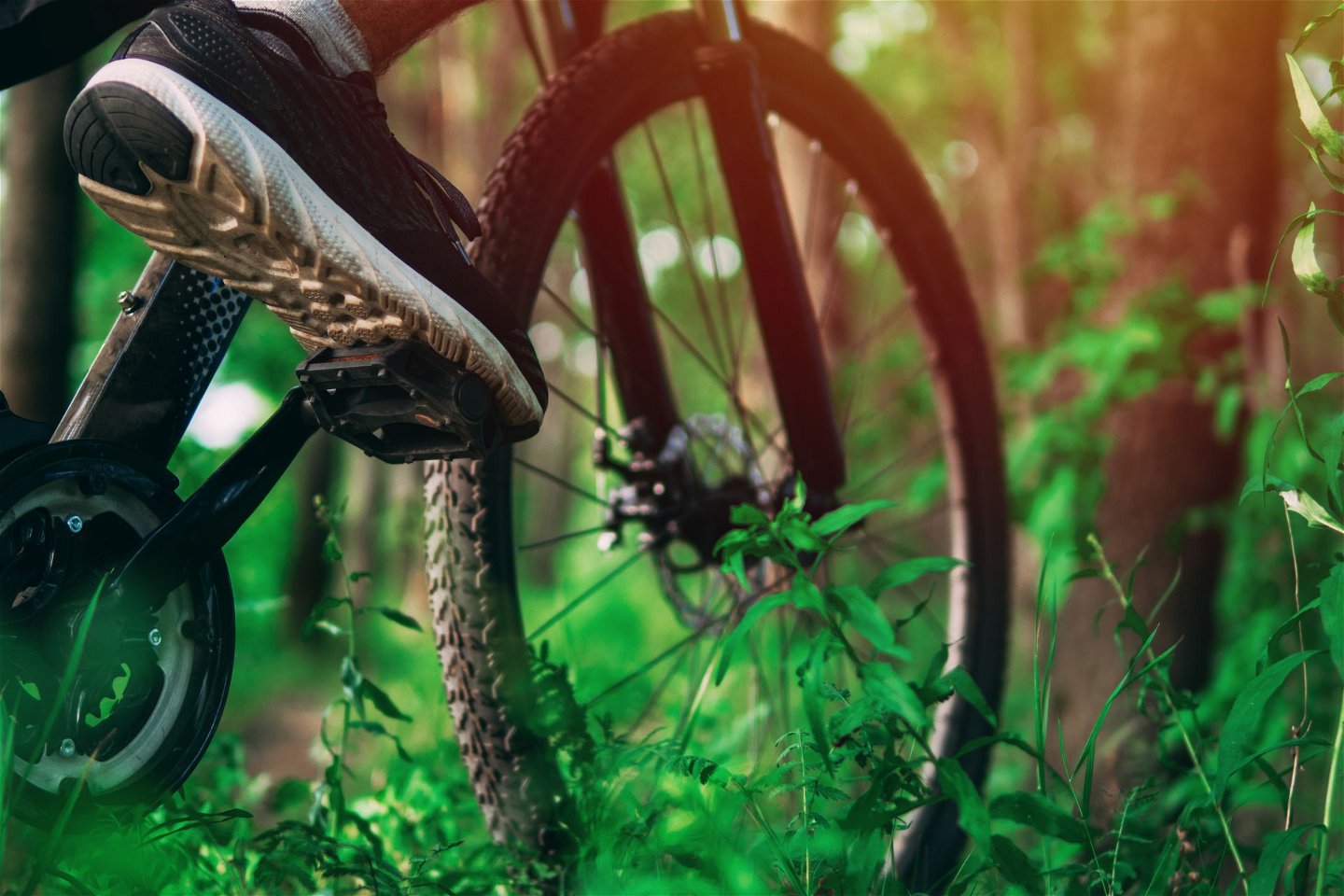 Närbild på en cykel i skogen