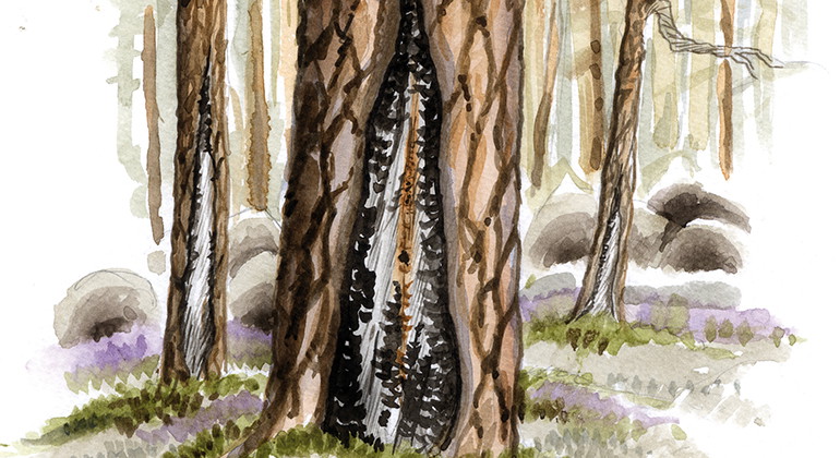 Illustration: Jonas Lundin