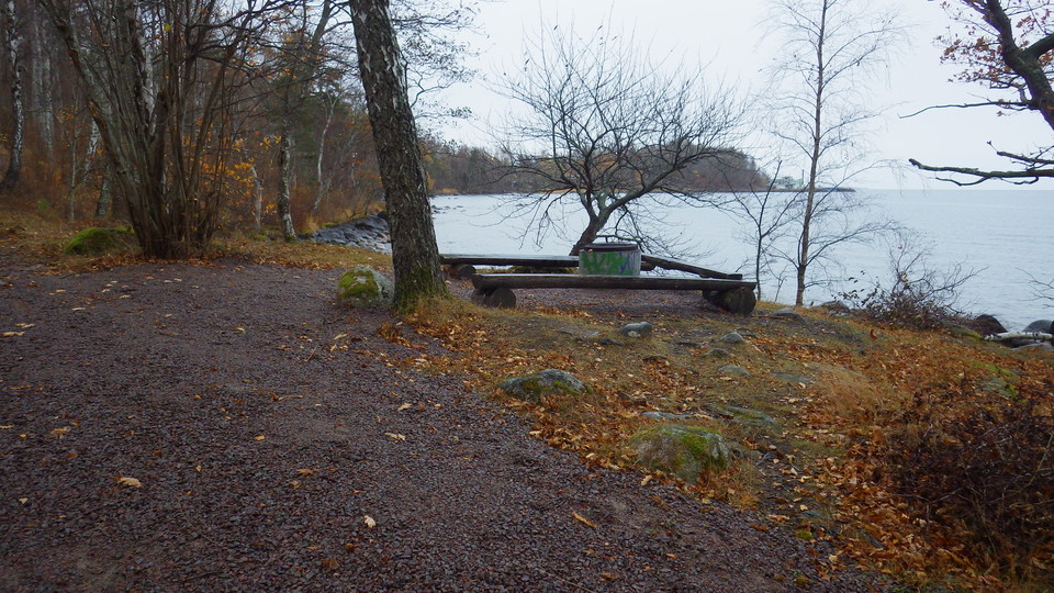 Hilkka M Kangas
