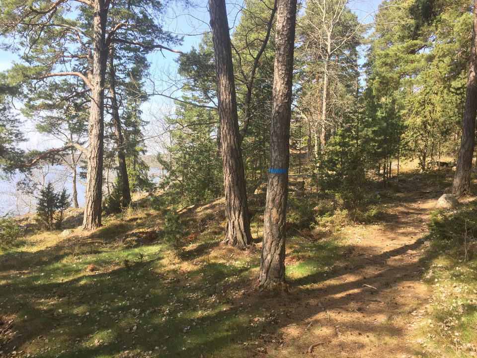 Stigen längs Sjörundan.