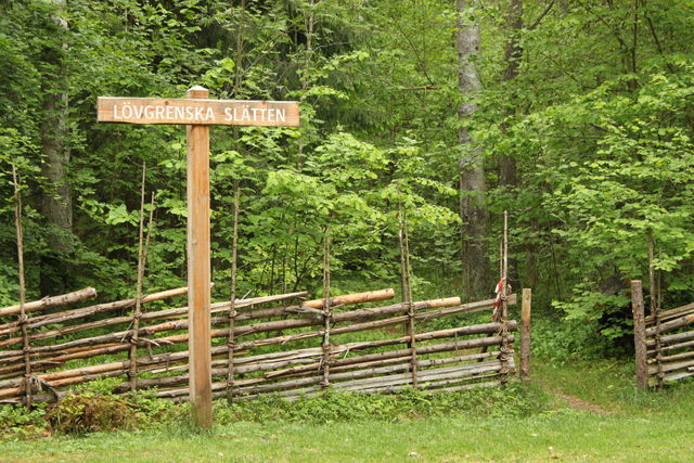 Rastplats Löfgrenska slätten, Stadsskogen