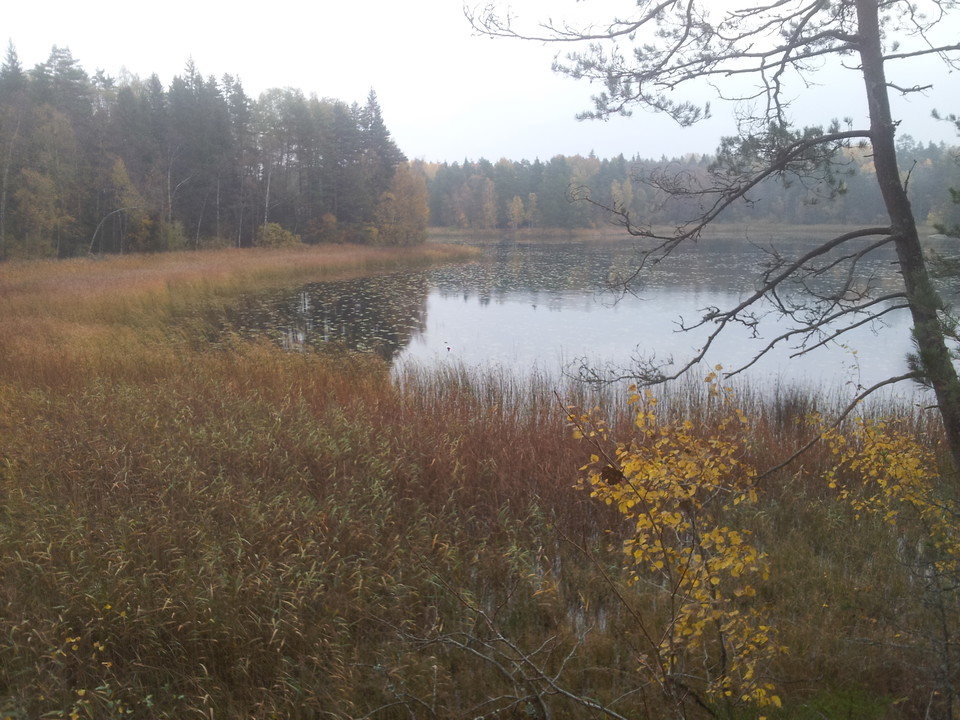 Sjön Trehörningen