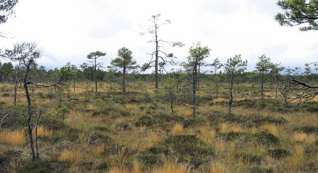 Getapulien, Naturreservat