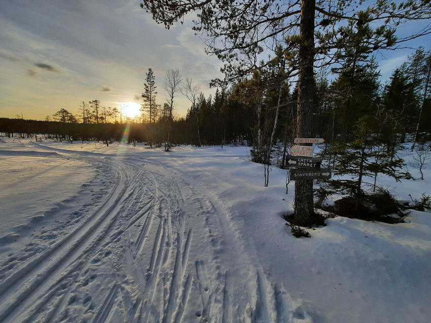 Underbar fjällkänsla på Alfta Finnskog