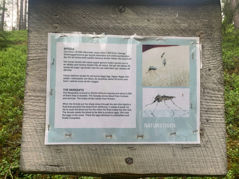 Längs stigen sitter informationstavlor om djur och natur i området.