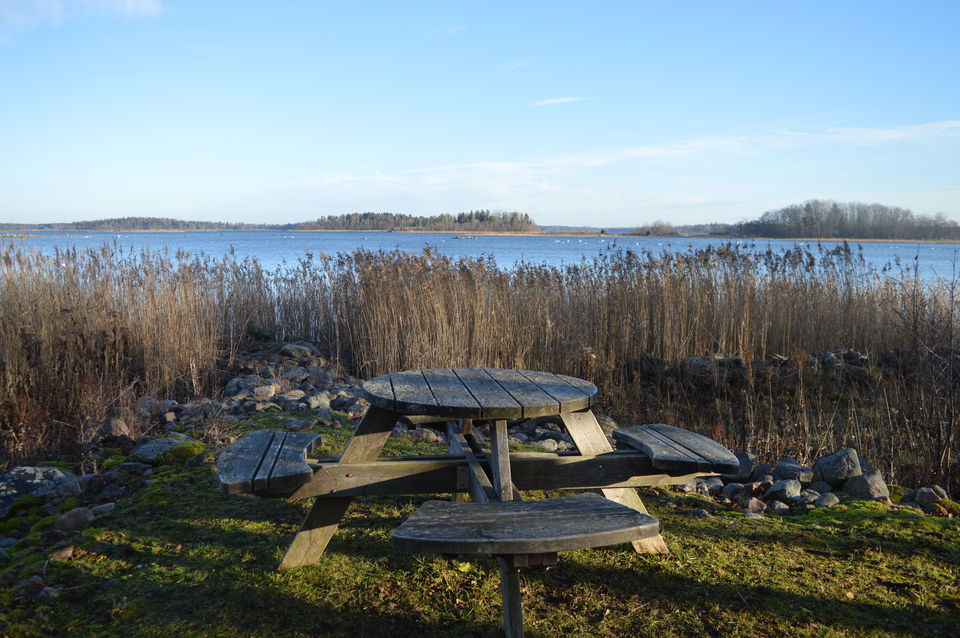En sittbank står på ojämn gräsyta vid vassen och havet.