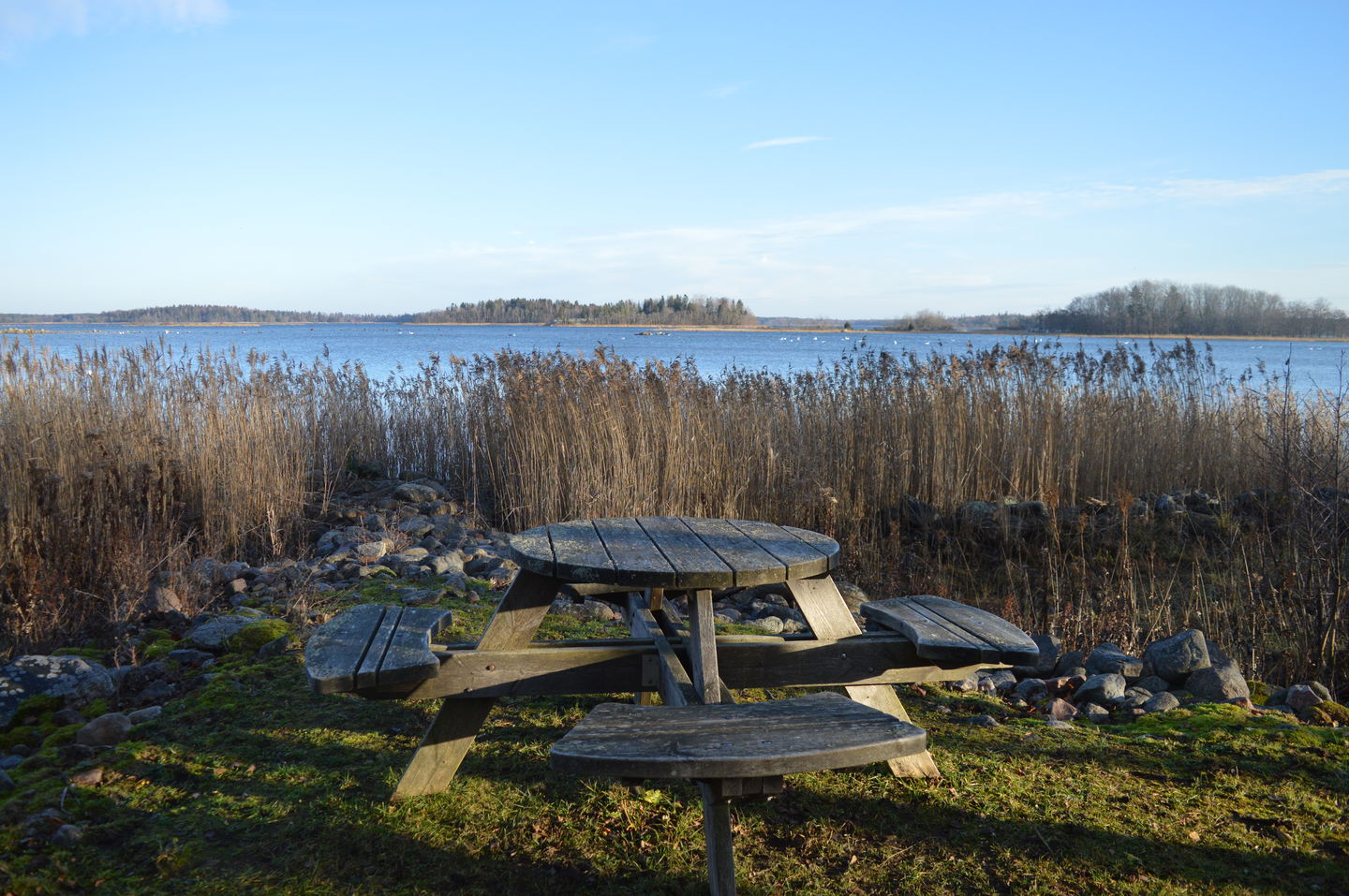 En sittbank står på ojämn gräsyta vid vassen och havet.