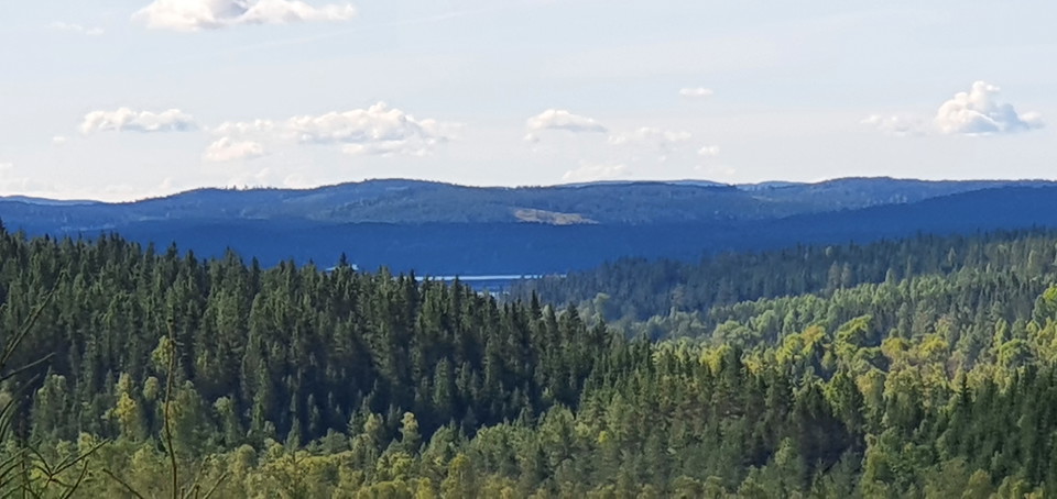 Vy över skogar, sjö och horisont med blåtoner. 