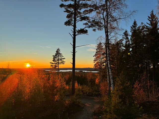 Rundslinga Kottaberget