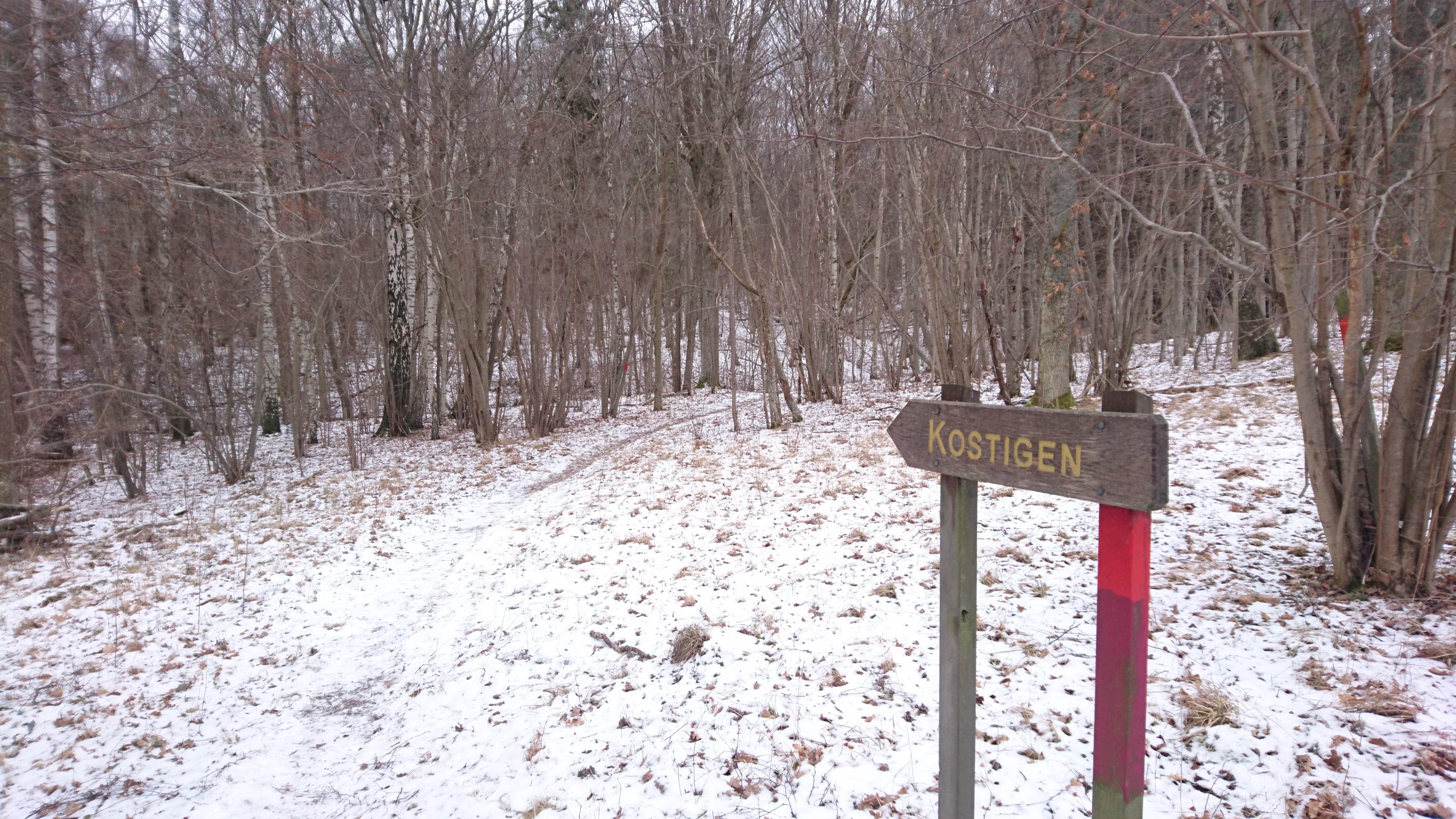 Kostigen