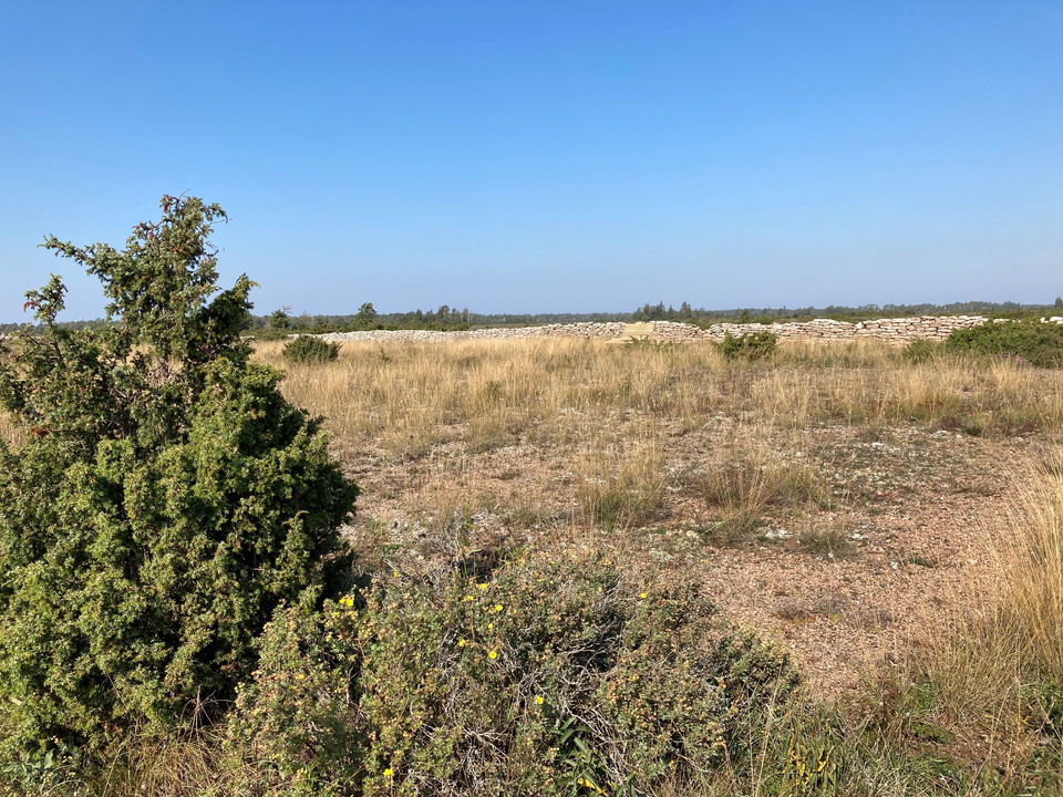 Utsikt över alvarmark med bänk långt borta