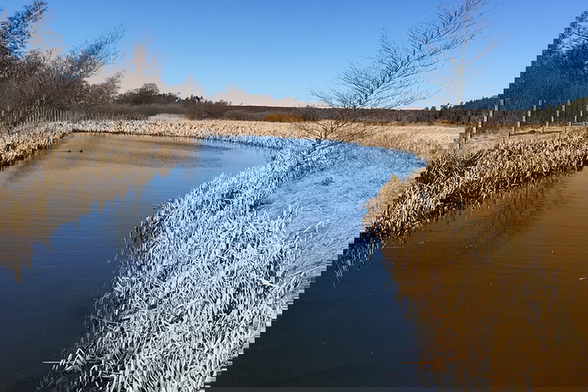 Paola Noordh/Trosa turistcenter