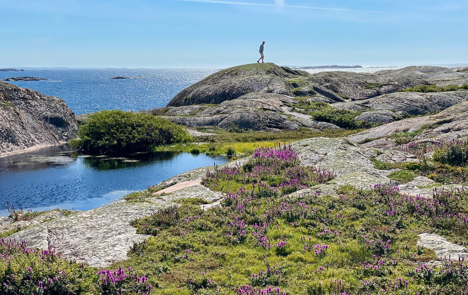 Västra Götalands län