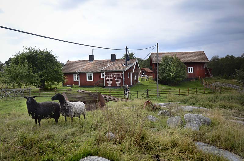 Foto Olof Näslund