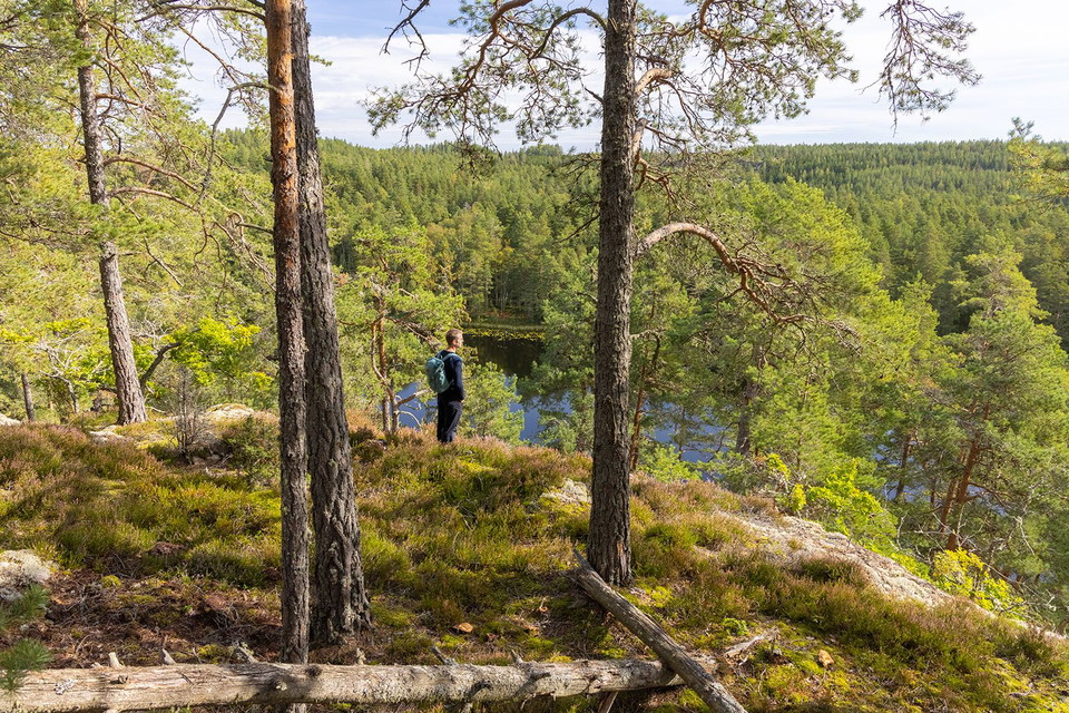 En man tittar ut från ett berg