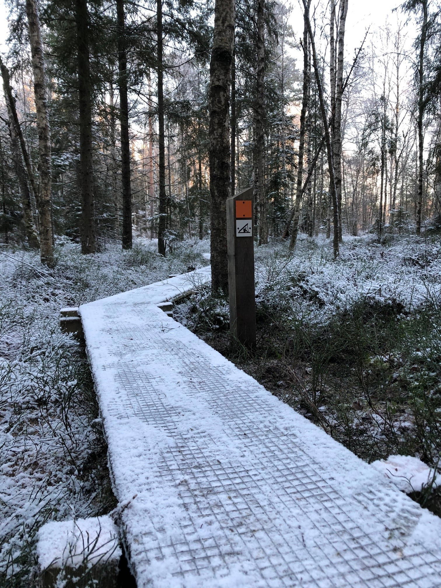 Naturguide till Sävsjö — Naturkartan