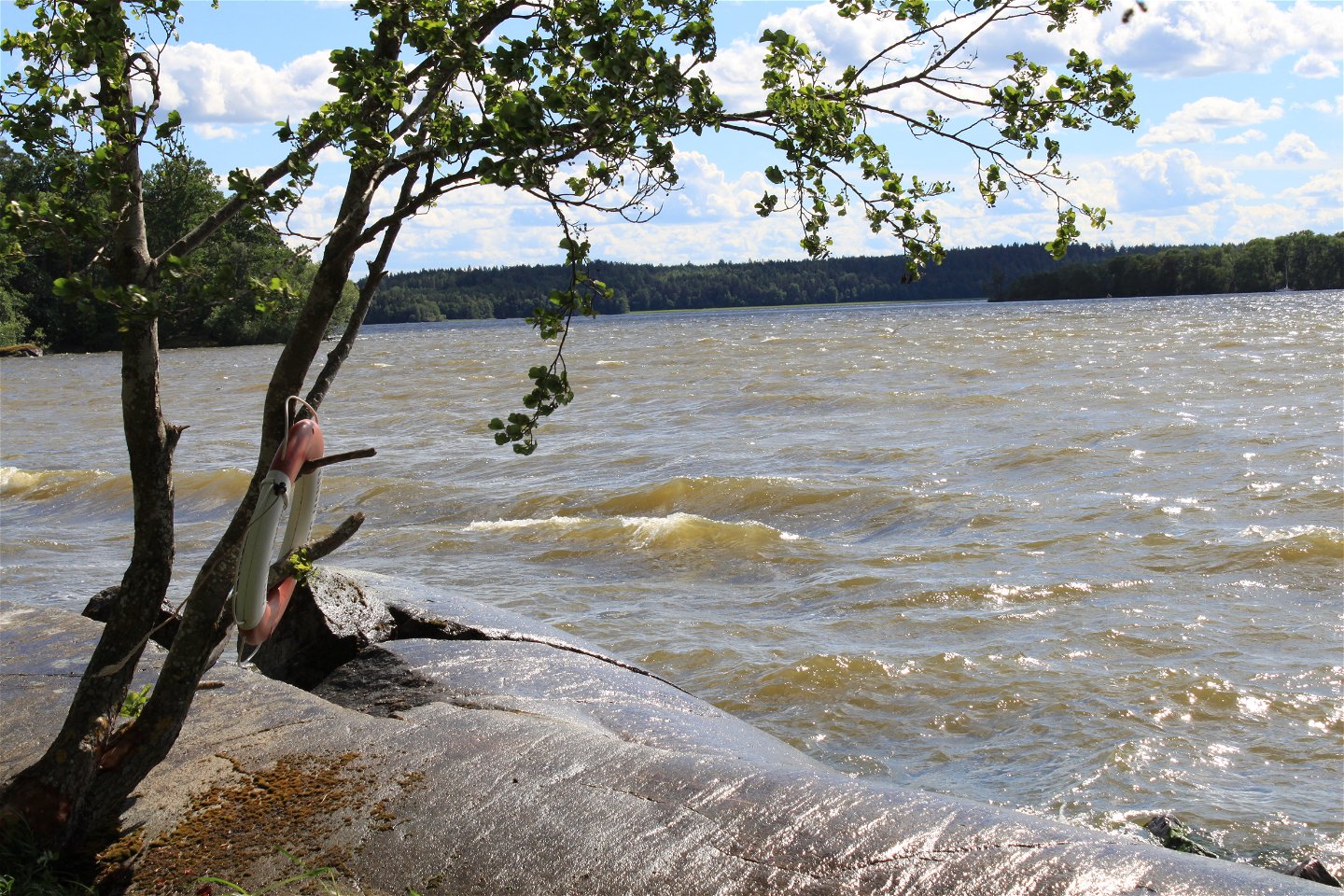 En slät stenhäll vid vattnet. Vid hällen står ett träd med en livboj på ena grenen.