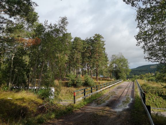 Rävbergsbron över rv.66