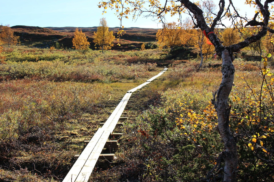 Länsstyrelsen Västerbotten