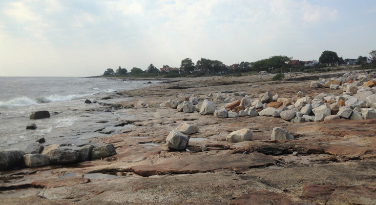 Sten längs strandlinjen.