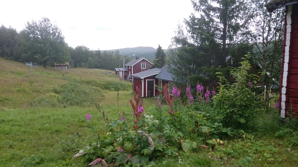 Fjällägenheten Biellojaure.
