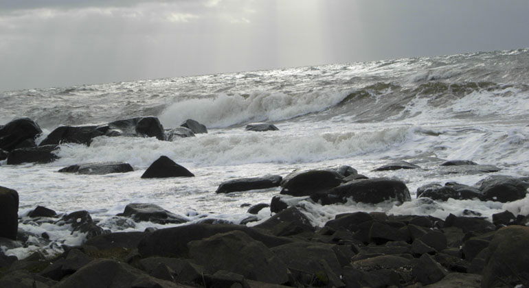 havet