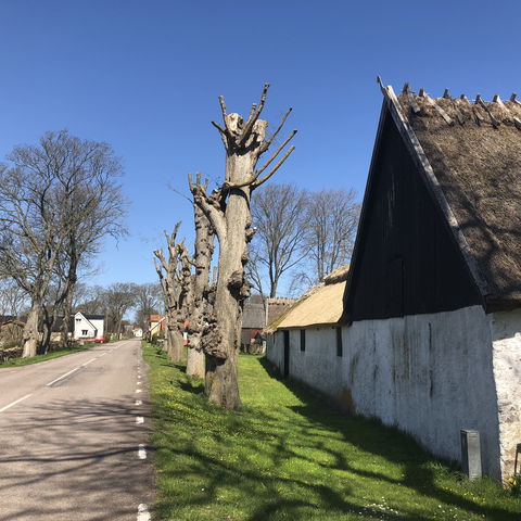 Näsby radby