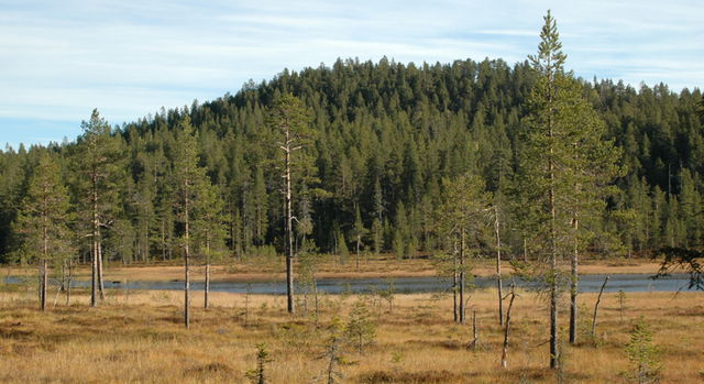 Stora Sundsjöberget, Naturreservat