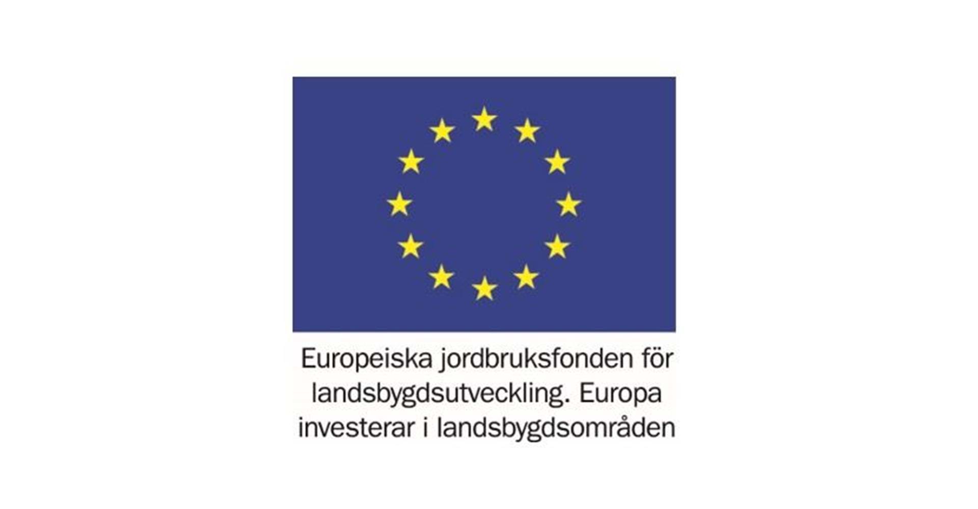 EU-logga
Europeiska jordbruksfonden för landsbygdsutveckling. Europa investerar i landsbygdsområden