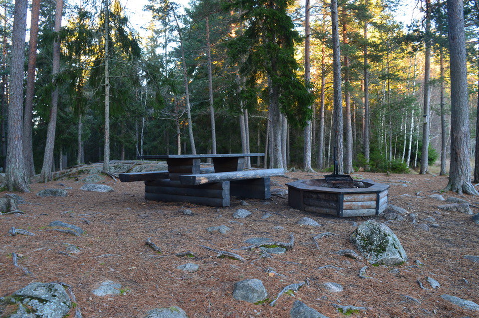 Ett bänlbord och en låg grillplats står på en stenig mark omgiven av skog.
