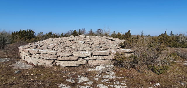 Torrör