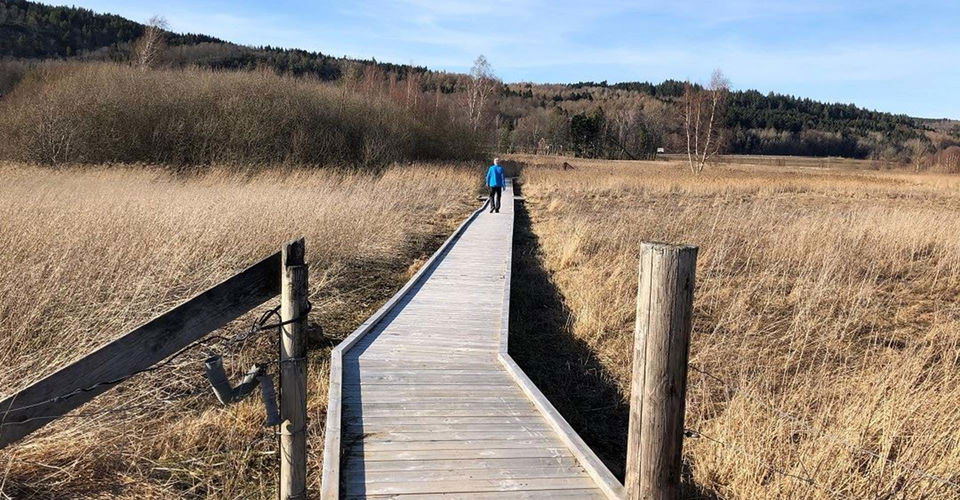 Alvastra pålbyggnad i Dags mosse.
Etapp: Omberg runt.
Ödeshög