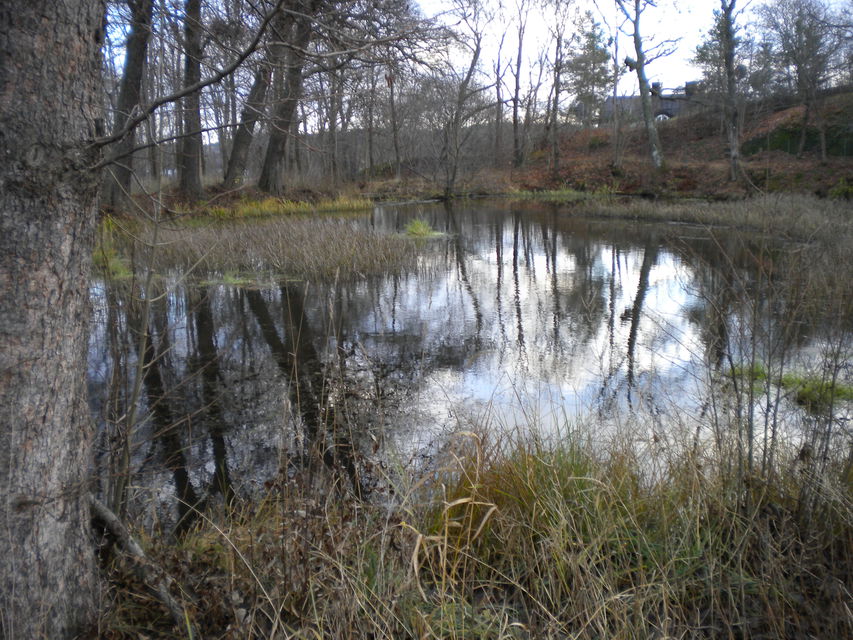 Mölna kvarndamm. Foto Lidingö stad.