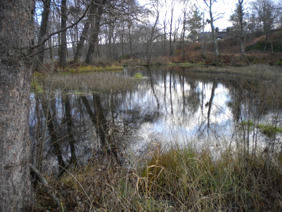 Mölna kvarndamm. Foto Lidingö stad.