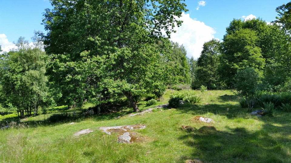 Värnamo kommun