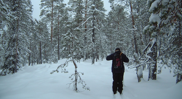 Skidåkning på Bälingeberget.