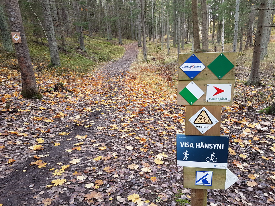 Tätt med spår och leder. Foto Lidingö stad.