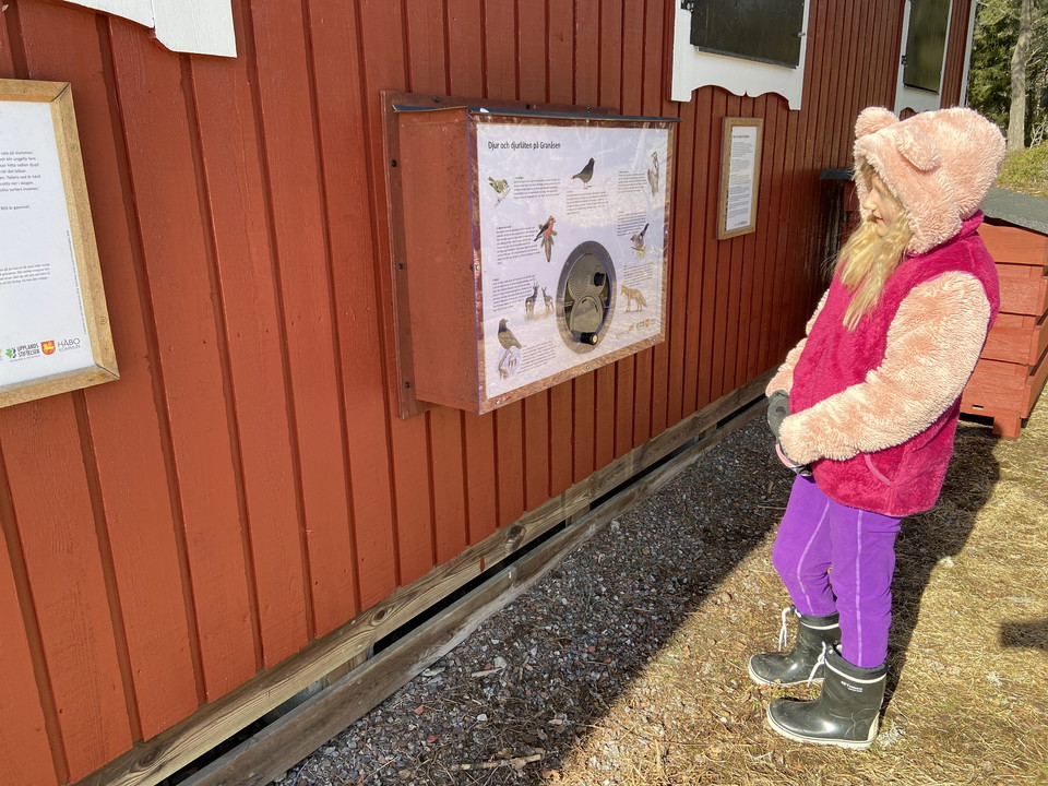 En flicka står framför en informationsskylt som sitter på en röd husvägg